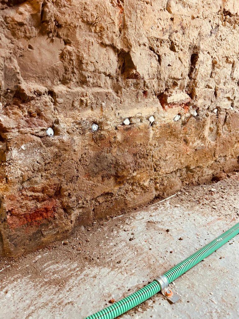 WhatsApp Image 2026-02-11 at 14.05.49